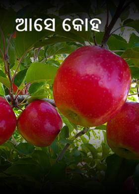 ଆସେ କୋହ