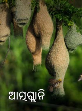 ଆତ୍ମଗ୍ଲାନି