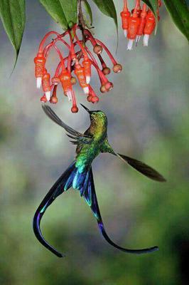 વાત જિંદગીની...