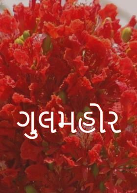 ગુલમહોર