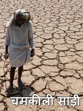 चमकीली साड़ी