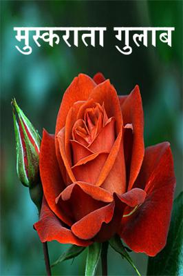 मुस्कराता गुलाब