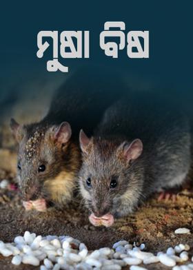 ମୁଷା ବିଷ