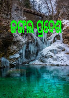 ଜଙ୍ଗଲ ପ୍ରଦେଶ