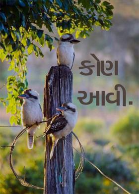 કોણ આવી...
