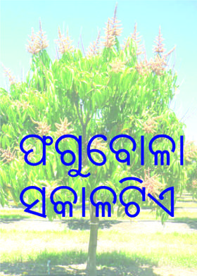 ଫଗୁବୋଳା ସକାଳଟିଏ