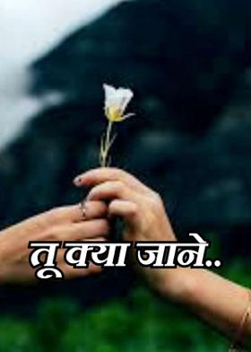 तू क्या जाने..