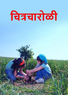 चित्रचारोळी