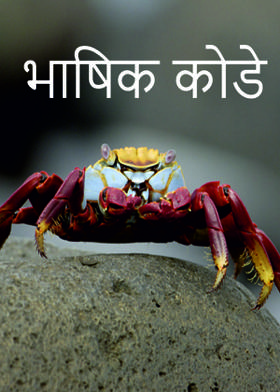 भाषिक कोडे