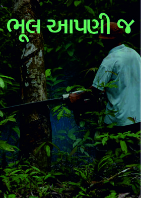 ભૂલ આપણી જ