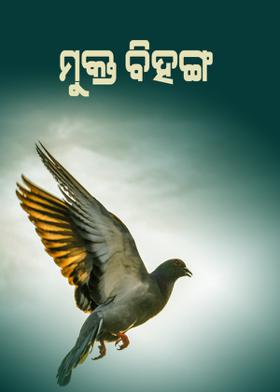 ମୁକ୍ତ ବିହଙ୍ଗ