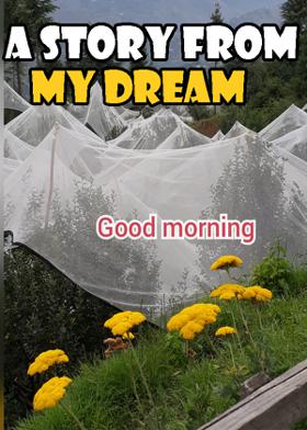 A Story From My Dream