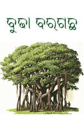 ବୁଢା ବରଗଛ