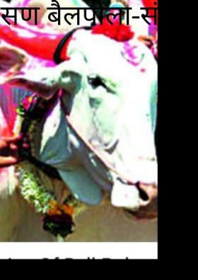 सण बैलपोला-संजय रघुनाथ सोनवणे