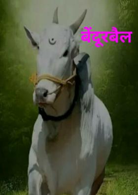 बेंदूरबैल