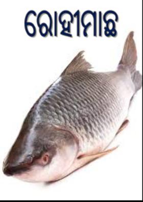 ରୋହୀମାଛ