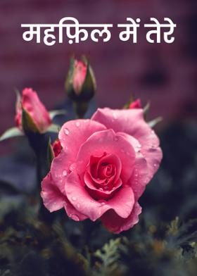 महफ़िल में तेरे