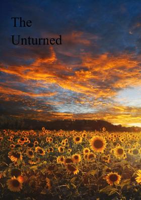 The Unturned Direction