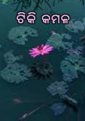 ଟିକି କମଳ
