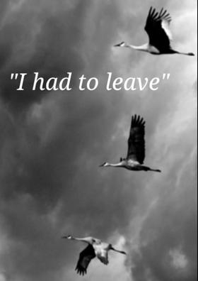 I Had To Leave